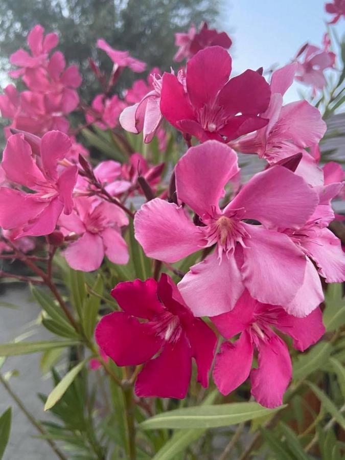 Appartamento Fodor Ház Gyenesdiás Esterno foto